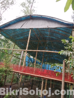 মুরগির খামার সকল কিছু বিক্রি করা হবে